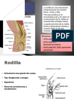 Biomecanica de Rodilla y Evaluacion