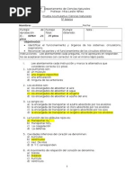Prueba Global Ciencias Naturales 5 Basico 2 Sem