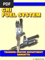 Download CRI FUEL SYSTEMpdf by Joko Sukariono SN262702252 doc pdf