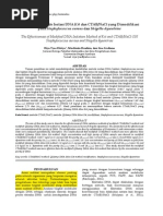 Download 254642560 Keefektifan Metode Isolasi DNA Kit Dan CTAB NaCl Yang Dimodifikasi Pada Staphylococcus Aureus Dan Shigella Dysentriae by Ivo Risti Handayani SN262707359 doc pdf