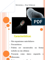 Bactérias, Archeas, Algas e Cianofíceas 2014