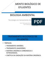 Tratamento Biologico 2 Aula 7 2014