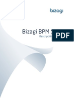 BizAgi Descripcion Funcional.pdf