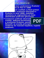 Anatomia Si Fiziologia Ficatului