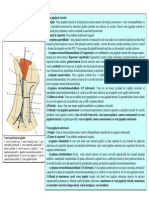 Venele Superficiale Ale Gatului PDF