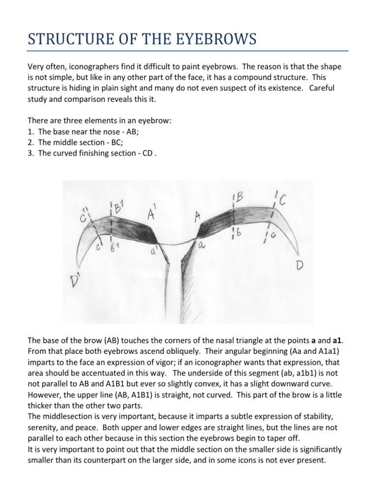 The Eyebrows PDF | PDF | Eyebrow | Teaching Mathematics