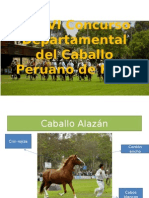 XXXVI Concurso Departamental Del Caballo Peruano de Paso