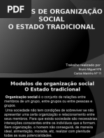 Modelos de Organização Social