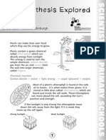 Photosynthesis