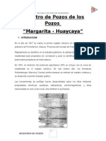 Registro de Pozos de Los Pozos Margarita y Huaycaya Informe