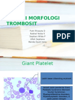Variasi Morfologi Trombosit