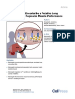 (Doi 10.1016/j.cell.2015.01.009) D. Anderson K. Anderson C. Chang C. Makarewich B. Nelson J. - A Micropeptide Encoded by A Putative Long Noncoding RNA Regulates Muscle Performance