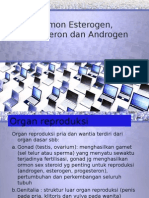 Download Hormon Esterogen Progesteron Dan Androgen by Gilank Gunawan SN262789007 doc pdf
