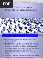 Download Hormon Esterogen Progesteron Dan Androgen by Gilank Gunawan SN262789007 doc pdf