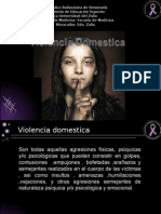 19. Violencia Domestica