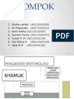 PPT Nyamuk