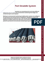 Multiport Straddle Packer System