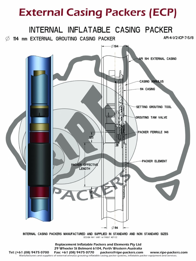 External Casing Inflatable Packers 114 PDF