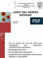 Virus Del Herpes Humano