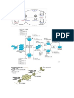 TOPOLOGY_SSH.pdf