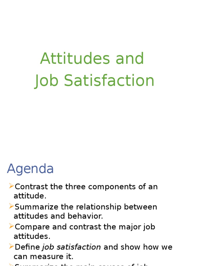 Understanding Job Attitudes and Satisfaction | PDF | Job Satisfaction ...