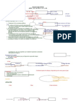 Jucio Ejecutivo Esquema (2)