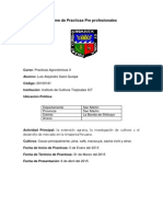 INFORME DE PRACTICAS LUIS SAIRE QUISPE LISTO 1.pdf