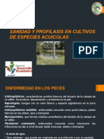 Sanidad y Profilaxis en Cultivos de Especies Acuicolas