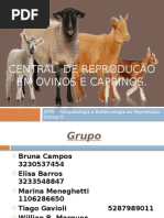 Central Avançada de Reprodução Em Ovinos e Caprinos