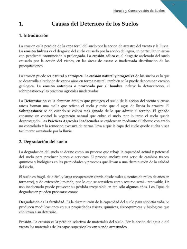 Causas y Consecuencias de la Degradación del Suelo | PDF | Suelo | Riego