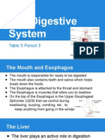 Digestive System