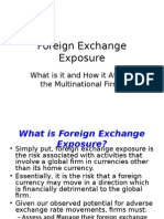 Foreign Exchange Exposure