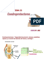 Tema 23 Condroprotectores