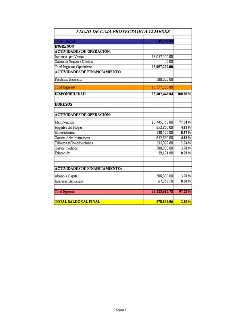 Flujo de Caja Proyectado a 12 Meses | PDF | Microsoft Excel | Economias