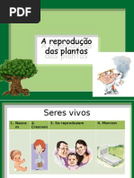 A Reprodução Das Plantas
