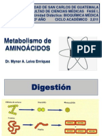 Metabolismo de AA PDF