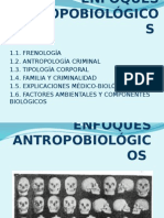 Enfoques Antropobiológicos