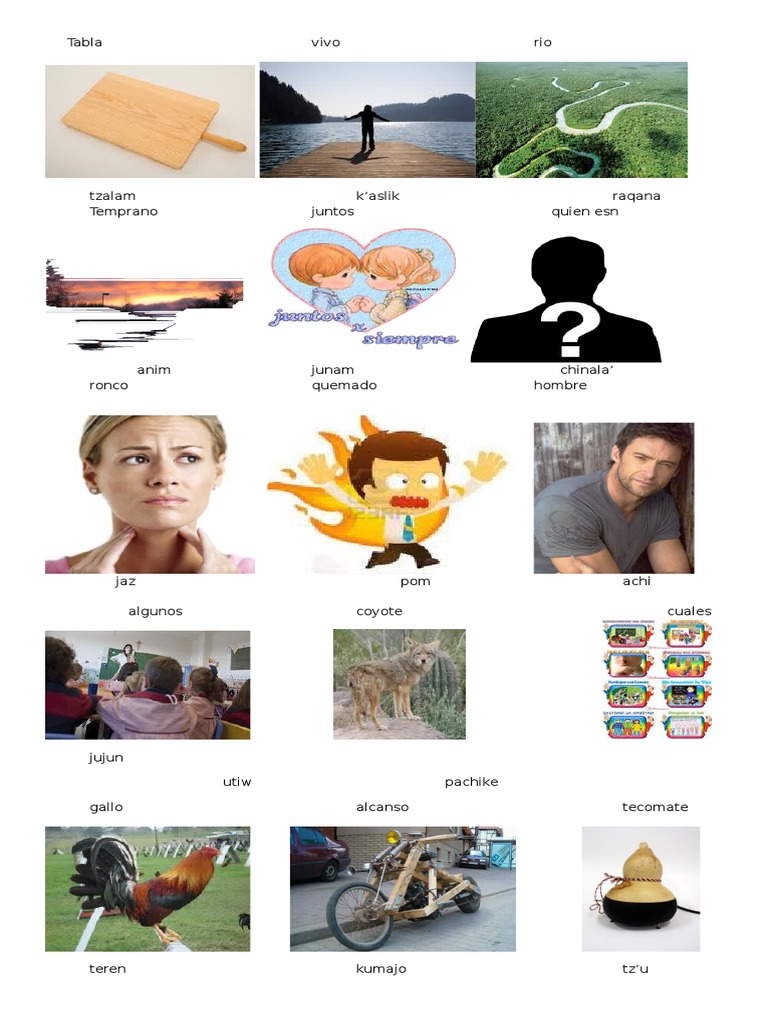 Vocabulario en achi y español ilustrado