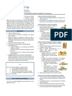 Manual Camel Up - Reglas A La JCK