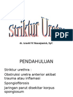 striktur_urethrae(1)