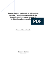 Densidades y Nutrición de Plátano Enano, Zamorano PDF