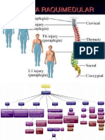 TRAUMARAQUIMEDULAR II.pptx