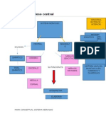 Mapa Conceptual Sistema Nervioso