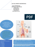 Farmacologia Del Aparato Respiratorio Diapossss