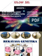 Rekayasa Genetika