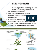 Modular Growth