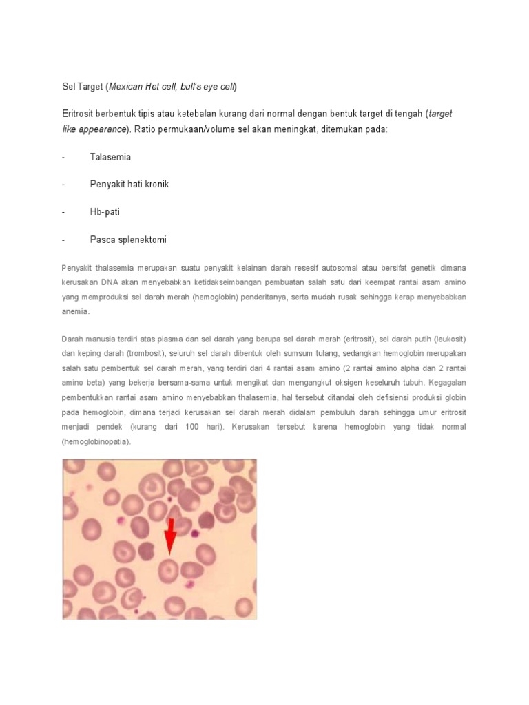 Sel Target dalam Thalasemia dan Anemia | PDF | Sains & Matematika