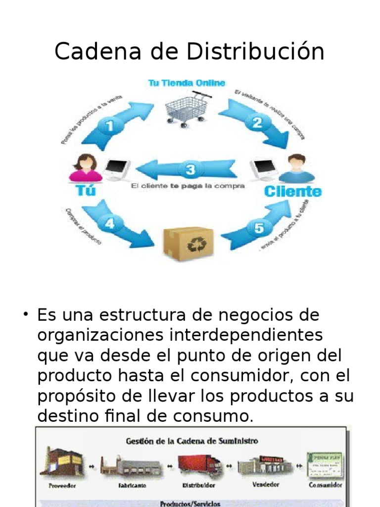 Estructura y Gestión de Cadenas de Distribución | PDF