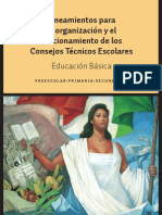 (2013), Lineamientos Para La Organización y Funcionamiento de Los Consejos Técnicos Escolares.