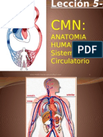 Anatomia Humana / Sistema Circulatorio